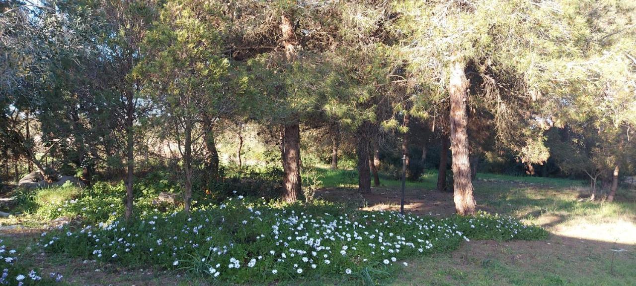 Holiday home Raffaella Lecce